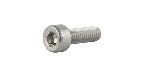 Trek M4x0.7 Socket Head Cap Screws M4 x 12mm Srebrny