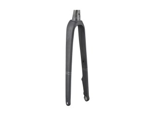 Fork Rigid Domane AL2 48R Matte Lithium Grey/Carbon Smoke