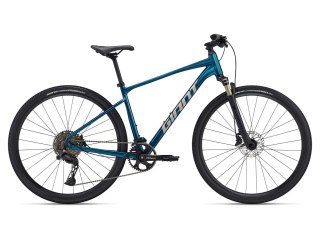 Giant Roam 0 Disc L Sea Sparkle