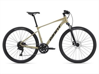 Giant Roam 2 Disc Bay Leaf 2024 XL